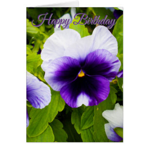 Amor-Perfeito Roxo e Branco, Cartão de Aniversário