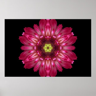 Amor Permite Flor Mandala Poster