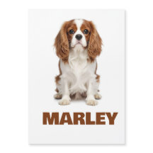 Amor Personalizado Nome do Amante de Cachorro