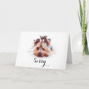 Amor pesaroso Yorkies (5" x 7"), cartão branco do