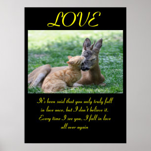 AMOR Posters Animal 7