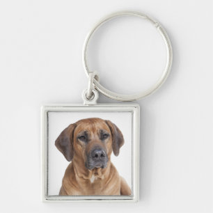 Amor Ridgeback Chaveiro de Cachorro Ridgeback
