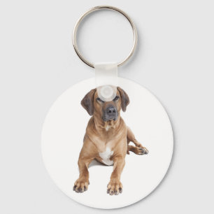 Amor Ridgeback Chaveiro de Cachorro Ridgeback