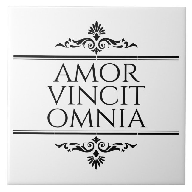 Amor Vincit Omnia Conquista Todas as Frases Latina (Frente)