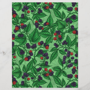 Amoras negras em verde