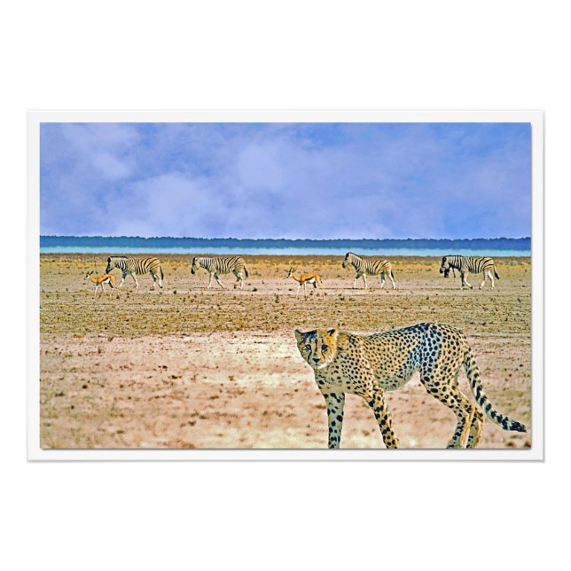 Ampliação de Foto (Frente)