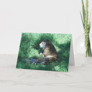 "Amur Tiger" Consiga Bem Cartão