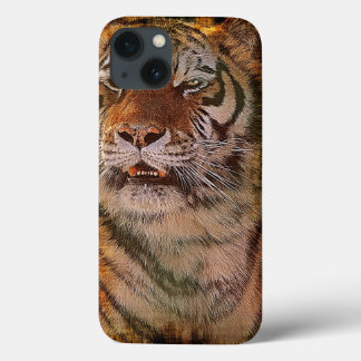 Amur Tiger Retrato Grande Gato Selvagem