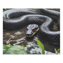 anaconda in de rivier