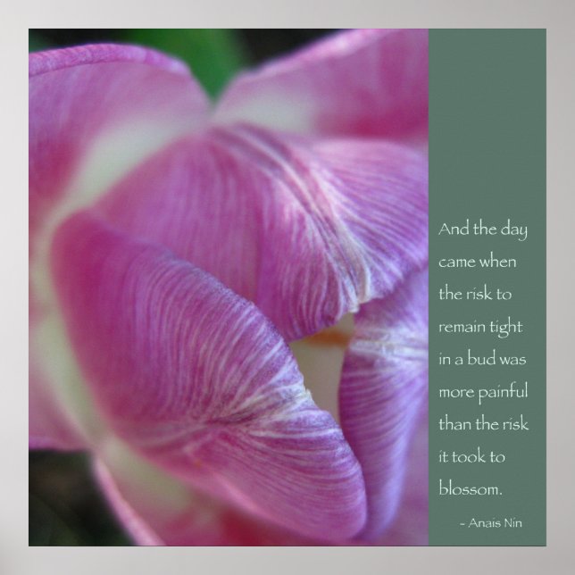 Anais Nin Quote Poster (Frente)