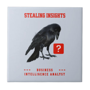 Analista de Inteligência de Negócios da Crow