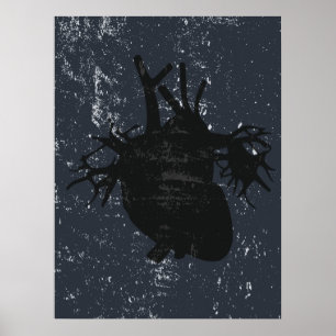 Anatomia cardíaca poster