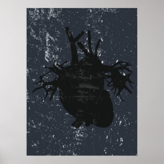 Anatomia cardíaca poster