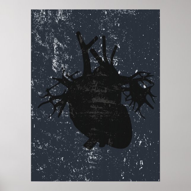 Anatomia cardíaca poster (Frente)