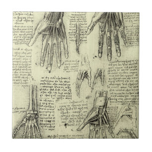 Anatomia da Mão Humana de Leonardo da Vinci