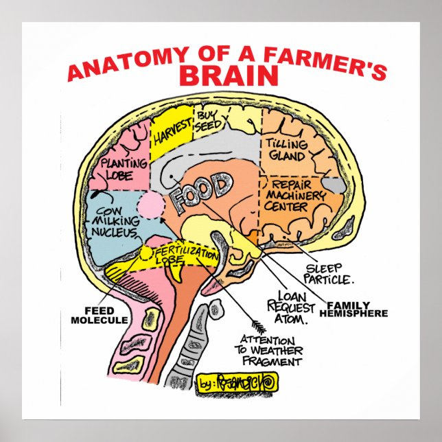 ANATOMIA DA POSTER DO CÉREBRO DE UM AGRICULTOR (Frente)