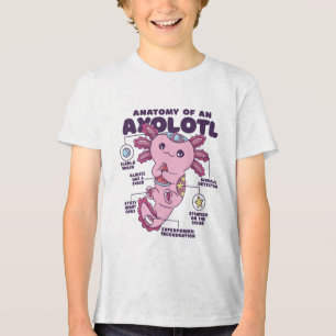 Anatomia de um Assalamandra Axolotl mexicano