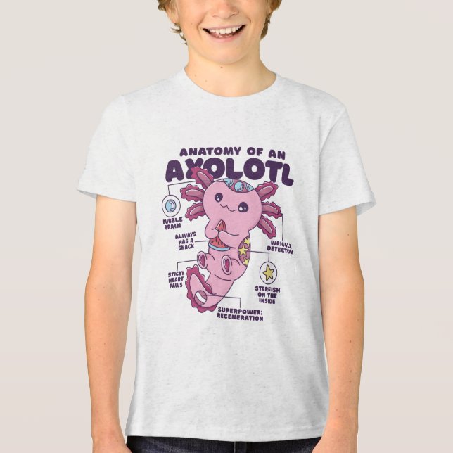 Anatomia de um Assalamandra Axolotl mexicano (Frente)