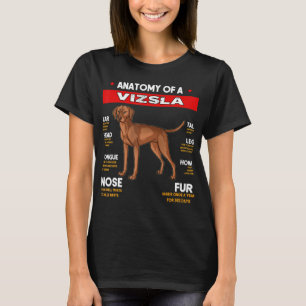 Anatomia De Um Cães Vizsla Emite Camisa