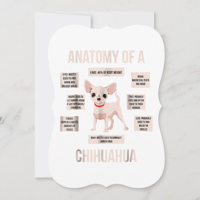anatomia de um chihuahua presente engraçado de cac (Frente)