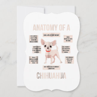 anatomia de um chihuahua presente engraçado de cac