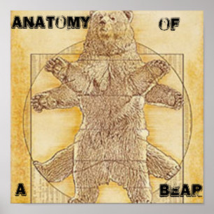 Anatomia de um Poster do Urso