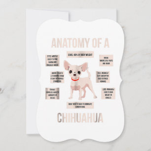 anatomia de um presente engraçado de cachorrinho c