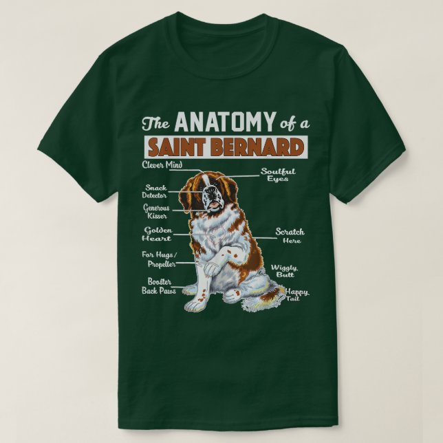 Anatomia de uma camisa BernardFunny Santo (Frente do Design)