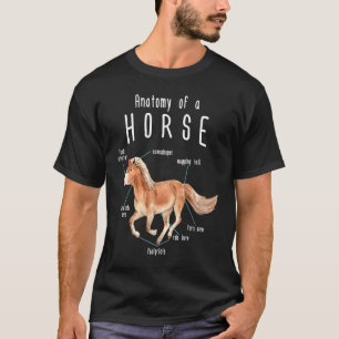 Anatomia De Uma Camisa De Cavalo   cavalo  para mu