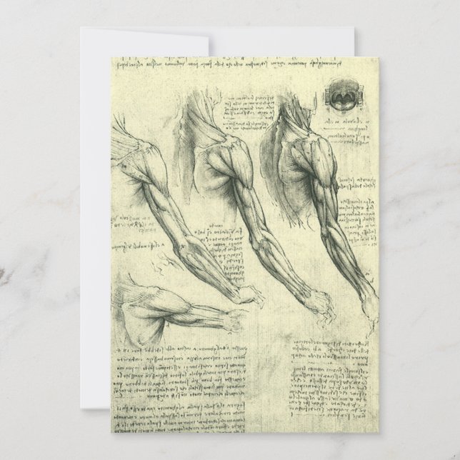 Anatomia do braço e do ombro de Leonardo da Vinci (Frente)