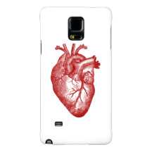 Anatomia do coração do vintage