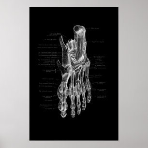 Anatomia do pé Poster médico 24 x 36"