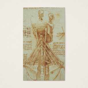 Anatomia do pescoço por Leonardo da Vinci C. 1515