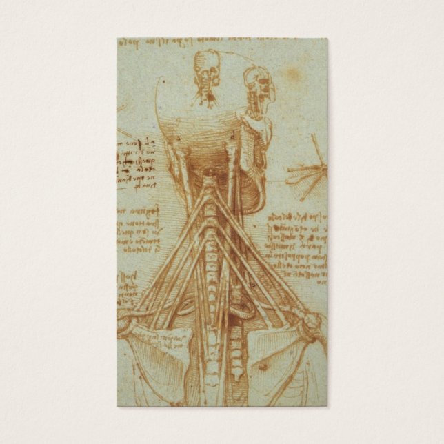 Anatomia do Pescoço por Leonardo Da Vinci c. 1515 (Frente)