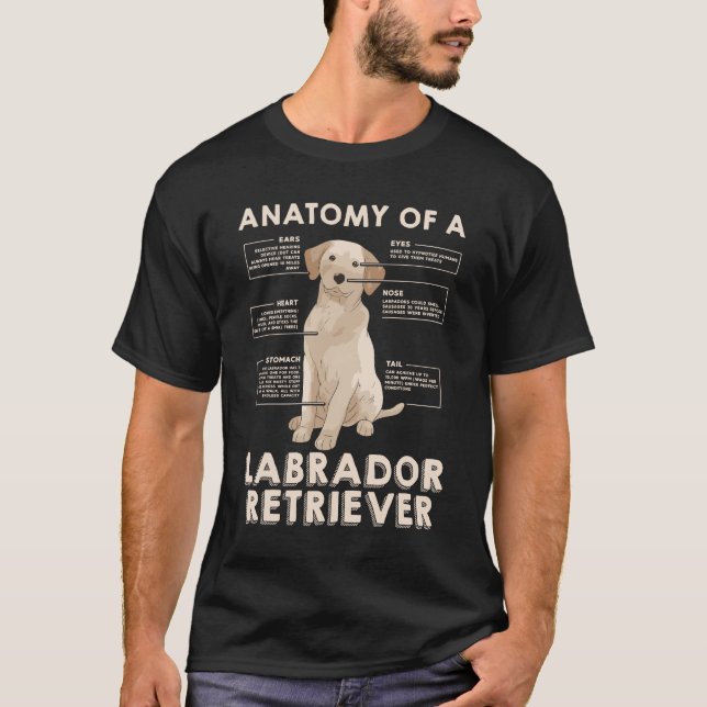 Anatomia Engraçada De Labrador Retriever Tops (Frente)