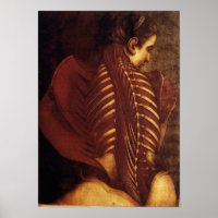 Anatomia/Esqueleto da Poster