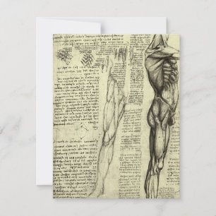 Anatomia Humana de Leonardo da Vinci Músculos Masc