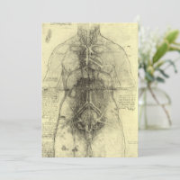 Anatomia Humana de Leonardo da Vinci, Torso Femini