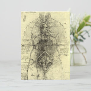 Anatomia Humana de Leonardo da Vinci, Torso Femini