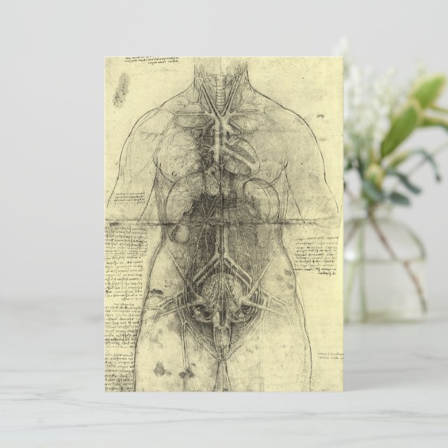 Anatomia Humana de Leonardo da Vinci, Torso Femini (Em pé/Frente)