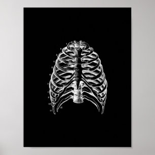 Anatomia humana de Ribcage no impressão preto e