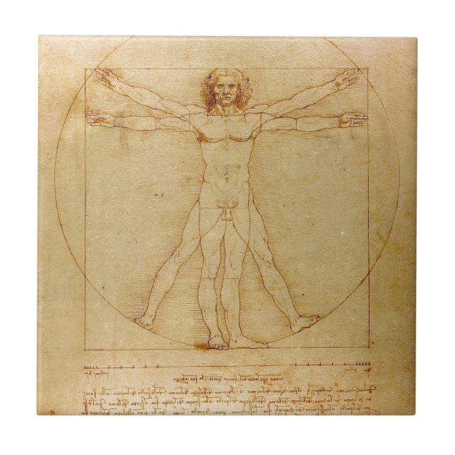 Anatomia humana, homem de Vitruvian por Leonardo (Frente)