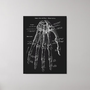 Anatomia manual Grande Muro de Canvas Art 36 x 48"