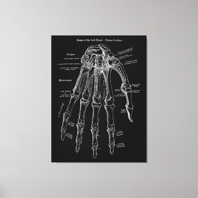 Anatomia manual Grande Muro de Canvas Art 36 x 48" (Frente)