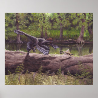 Anchiornis Impressão