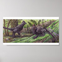 Anchiornis: Impressão de Dimorfismo