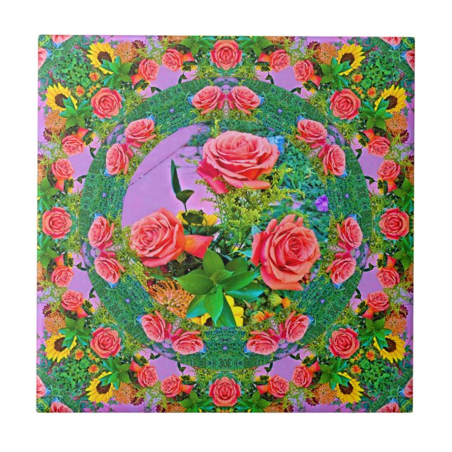 Anéis Rosa Rosa Rosa Rosa Rosa Rosa (Frente)