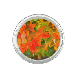 Anel Dança Folha de Maple