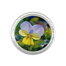 Anel Pansy Perfection