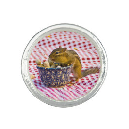 Anel Picnic do chipset